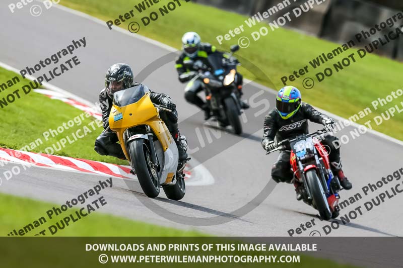 Oulton Park 21st March 2020;PJ Motorsport Photography 2020;anglesey;brands hatch;cadwell park;croft;donington park;enduro digital images;event digital images;eventdigitalimages;mallory;no limits;oulton park;peter wileman photography;racing digital images;silverstone;snetterton;trackday digital images;trackday photos;vmcc banbury run;welsh 2 day enduro